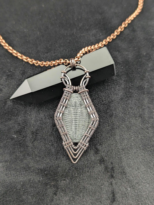 Wire Wrapped Trilobite Fossil Handmade Copper Pendant Necklace